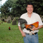 Top 10 Gamefarms and Gamefowl Breeders in the Philippines